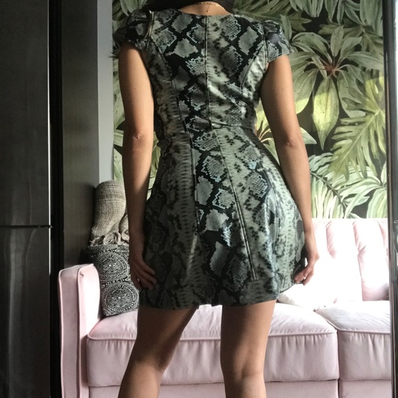 Miaou Snakeskin Button Up Bustier Dress - Picture 4 of 6